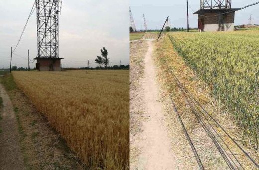 歪斜電桿、垂落線纜處置前后